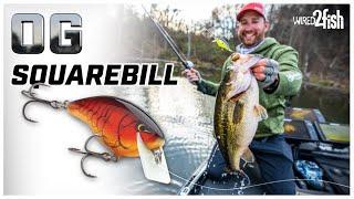 Squarebill Crankbait Year-round Success with Ott DeFoe