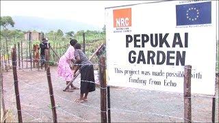 Durable solutions through community based planning