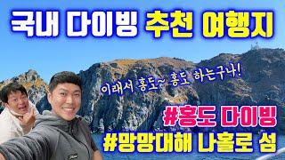 국내 스쿠버다이빙 여행지 추천 / 통영 홍도 스킨스쿠버 / 거제도 지세포항에서 출발하는 괭이갈매기 서식지 홍도 다이빙 / 바닷속 여행유튜버 / 스킨스쿠버 다이빙 동호회