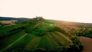 Weinstraße Weinviertel Veltlinerland - Weinort Falkenstein