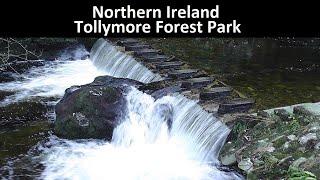 Northern Ireland - Tollymore Forest Park