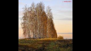 По грибы 01 ноября 2022г. Закрываем летне-осенний сезон 2022г.!