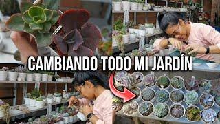 Todo el día en el jardín depurando y sacando plantas que ya no quiero  | Jardines by Angie