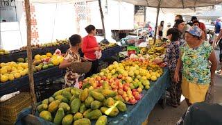 REPOLHO DE 4 Kg POR 2 REAIS SÓ NAS FEIRAS  NORDESTE!