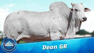 Dean GR