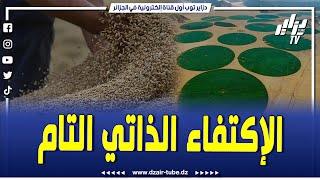 فيديو غرافيك..الجزائر على مقربة من الاكتفاء الذاتي التام عقب الإنتاج الوفير المحقق من القمح الصلب