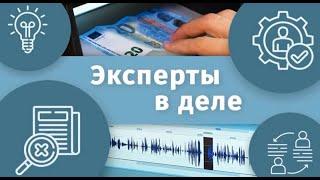 «Эксперты в деле». Исследование ДНК: в кино и в жизни