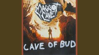 Cave of Bud