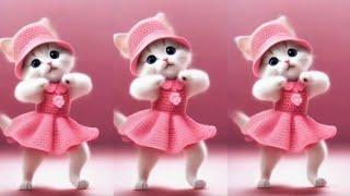 Dancing Cats Viral  Videos:Videos for Cats #catvideos #dancingcat #catsmoves #cats #catlovers #