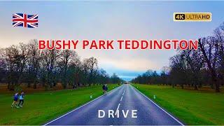 A peaceful drive  on Christmas morning: Bushy Park | Teddington | Hampton Wick | Kingston | England