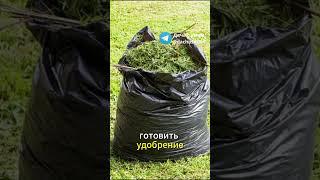 Народное удобрение из скошенной травы #удобрение #дача #огород #трава