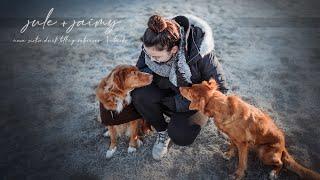 Nova Scotia Duck Tolling Retriever Jule + Jaimy | Tricks