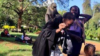 Can't believe what MONKEYS did to us at the Nairobi City Park