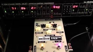 TC Electronic 2290 vs Pete Cornish TES