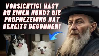 SCHOCKIEREND: Was Nostradamus denjenigen vorhersagte, die einen Hund zu Hause haben