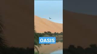 How OASIS is Formed ??