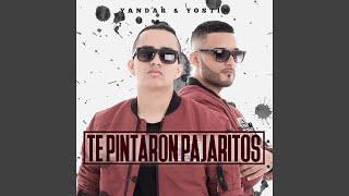 Te Pintaron Pajaritos (feat. Andy Rivera)