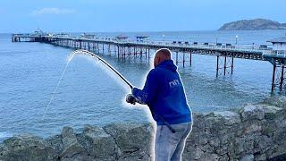 Fishing the MIGHTY Llandudno WALL️