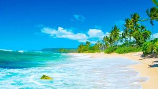 Tropical Beach with Waves Crashing Sounds and Bossa Nova Music for Stress Relief, Relax