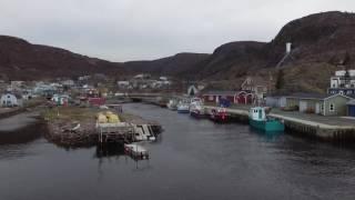 Petty Harbour Drone