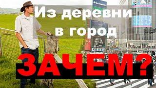 Из деревни обратно в город, ЗАЧЕМ?