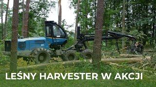 Ekspresowa wycinka lasu | Harvester Rottne z silnikiem John Deere | Nietypowe maszyny