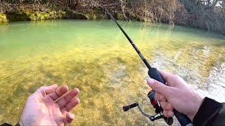 A GOOD day of fishing! Winter session with Lures in Italian river [Ultralight Fishing]