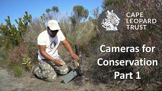 Cameras for Conservation Pt1 - Cape Leopard Trust