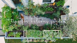 #28 Essential Tips for Starting a Balcony Vegetable Garden | Urban Gardening