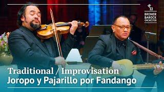 Traditional / Improvisation: Joropo y Pajarillo por Fandango