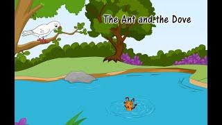 UKG || ENGLISH || Story- The Ant and the Dove