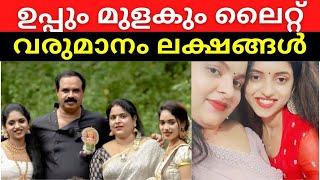 Uppum Mulakum lite family YouTube revenue |ഉപ്പും മുളകും ഫാമിലിയുടെ യുട്യൂബ് വരുമാനം | Nettech Media