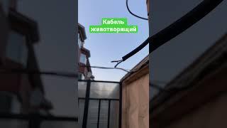 Питер, электрика #piter #electric