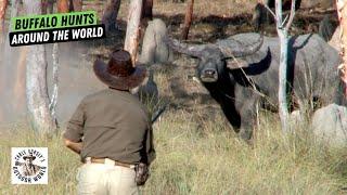 Buffalo Hunts From Around the World