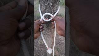 the BEST way to tie a king of knot