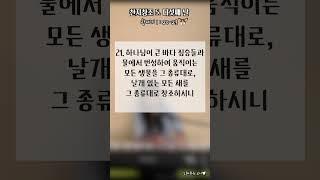 #천지창조 #다섯째날 #태초에 #창세기 #엄마가들려주는성경