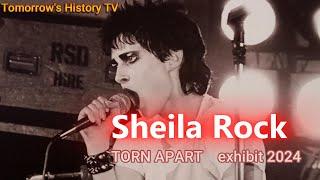 Sheila Rock - TORN APART Exhibit 2024 - Photography and Punk Rock Cultural Experience