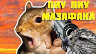 Squirrel with a Gun: Пиу пиу белка! ️