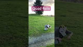 Quad fails#fails #quadrobics #antizoo #therianthropy