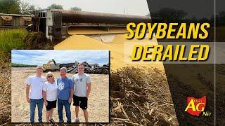 A train carrying soybeans derailed on their farm - Now what?