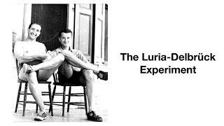 The Luria-Delbruck Experiment