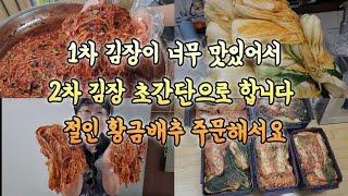 절인 황금배추로 육수와 찹쌀죽을 빼고 초간단으로 2차 김장 합니다 맛이 끝내주네요