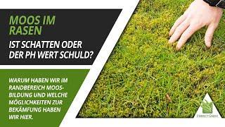  Moos im Rasen! Ist der pH Wert das Problem? Wie sieht die Lösung aus? 