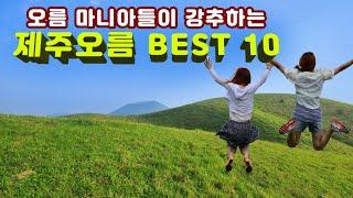 [제주도여행-제주오름] 최고 뷰를 자랑하는 인기 상승 랭킹 10위 제주 핫스팟 오름들만 정리(4K)-금오름 새별오름 용눈이오름 따라비오름 ..