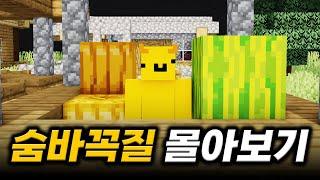 설 특집 밖비타 숨바꼭질 레전드 한 방에 몰아보기