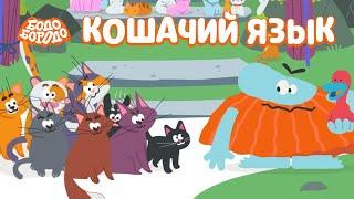 Кошачий язык - Бодо Бородо | ПРЕМЬЕРА | мультфильмы для детей 0+