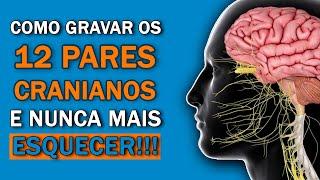 Memorize DEFINITIVAMENTE o nome dos DOZE PARES DE NERVOS CRANIANOS