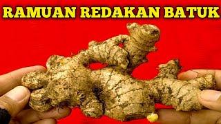 TIPS UNTUK MEREDAKAN BATUK