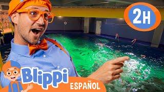 ¡Sumérgete con Blippi: Diversión en el Acuario | Blippi | Moonbug Kids - Parque en Vivo!