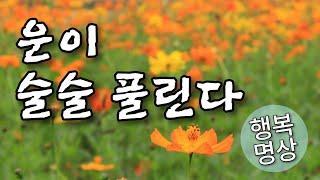 운이 술술 풀리는 법 - 긍정의 힘으로 좋은 기운을 끌어오는 명상의 말씀